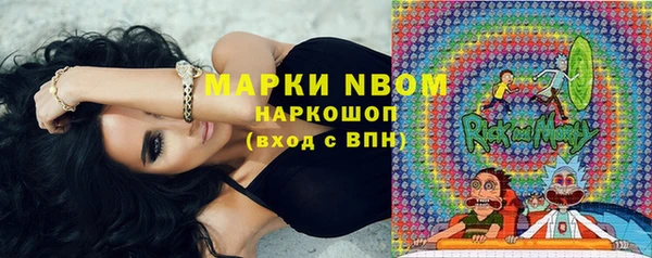 индика Куйбышев