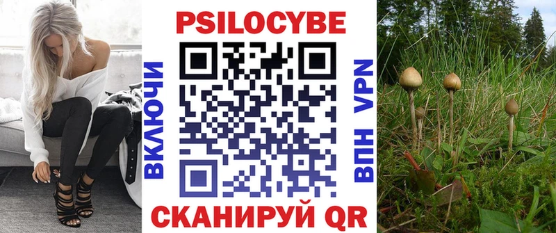 наркошоп  Боровичи  Псилоцибиновые грибы ЛСД 